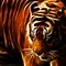 that tiger