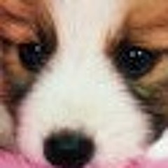 User 456123517