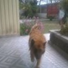 Jc Lopez Za