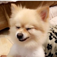 Вячеслав Колодин