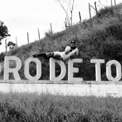 Pedro de Toledo