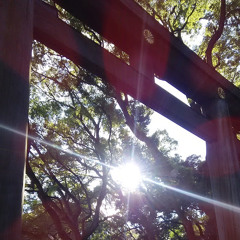 虹の光