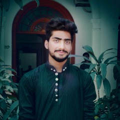 Hamza_007