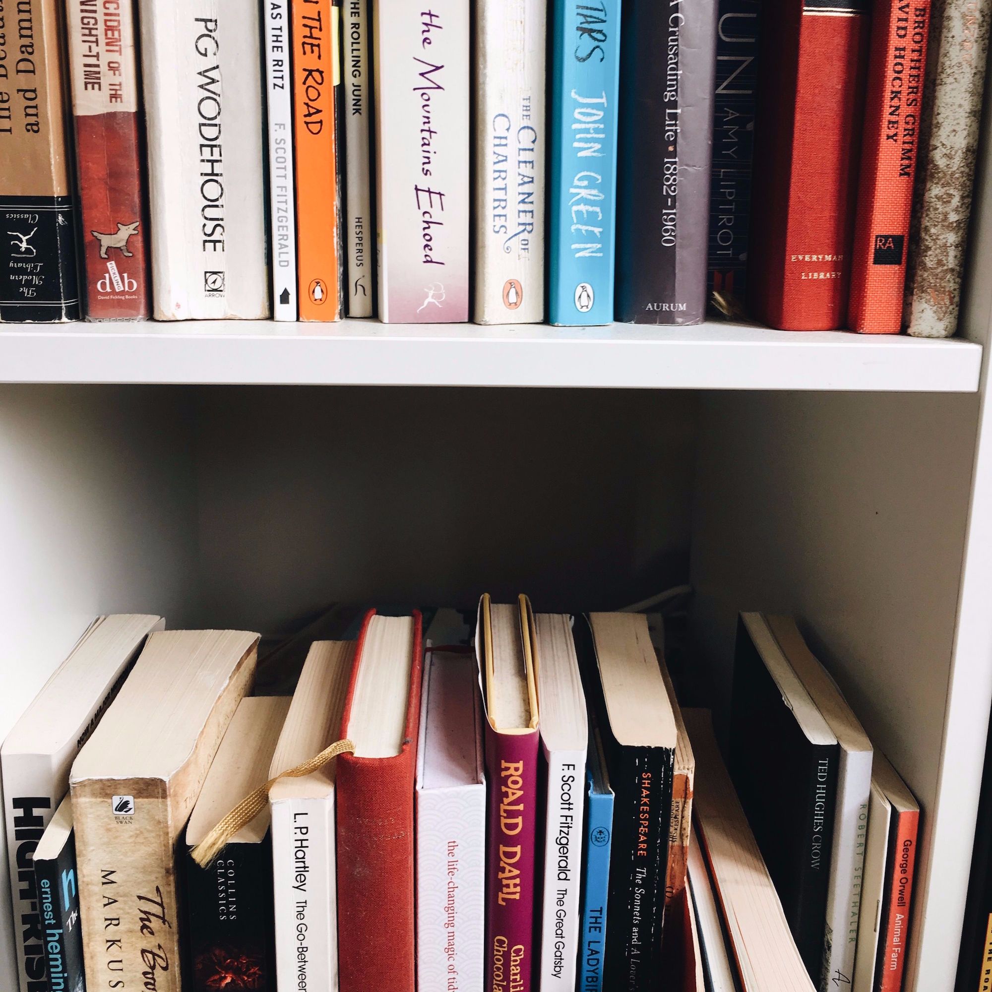 The Bookshelf Collective Podcast
