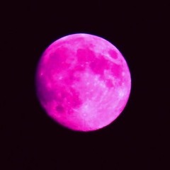 Moonwave