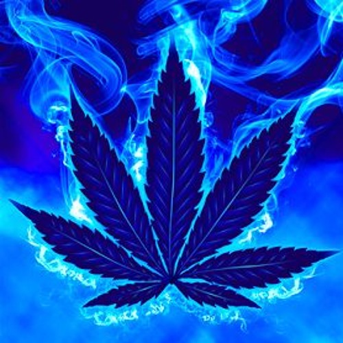 марихуана синяя