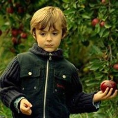 Elmasery Elmasery