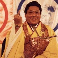 mescalitao