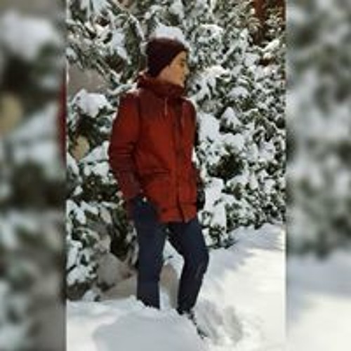 Serdar Ortaç - Çakal