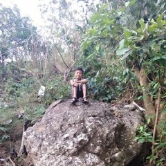 prima ghallantino dinky™ü