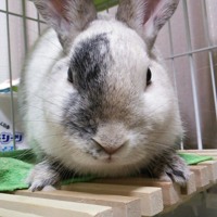 Goodluck0745 S Stream