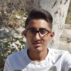 Mohamed Halimo
