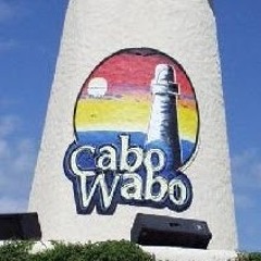 cabo wabo