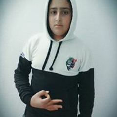 Anis Css
