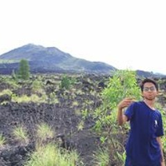 Dek Aldi