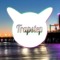 TrapStep