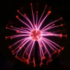 Kennynator Alligator