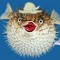 PuffED