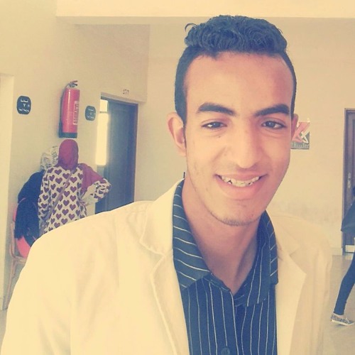 Hassan M. Alraiany’s avatar