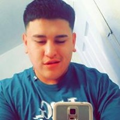 Pollo Avina