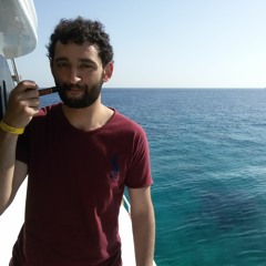 Amr Mahmoud Rizk