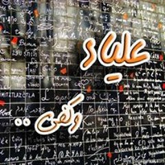 Kareem Mahmoud Amer
