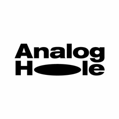 Analog Hole