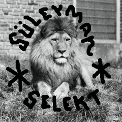 S Ü L E Y M A N
