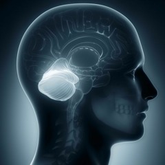 user466192533743473473967842127128489912