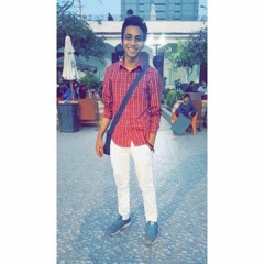 hussamelhalwany