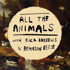 All The Animals Podcast