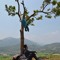 Hoàng Hải