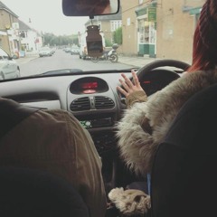 Velvet Echoes Private