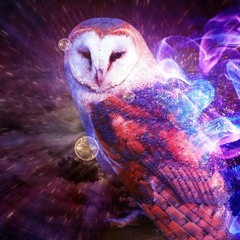 Mystic Owl