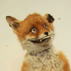 Силаго Неверминд