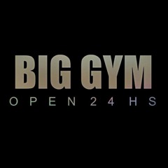 BIG GYM 24 HS