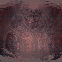 Braden's Moon Improvisions