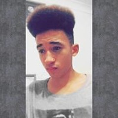 Levin Kane Forrester