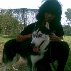 Akbar Ibrahim Rebeck