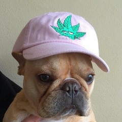 $lump Chump