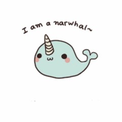 Narwhal