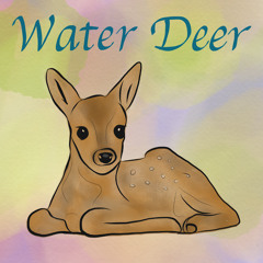 Water Deer