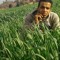محمد