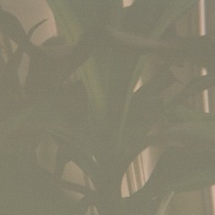 Production
