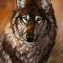 Foxwolf Wolph