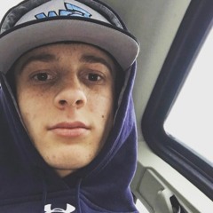 schwalbie_19
