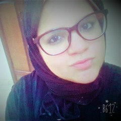 Dina Mohamed Abdo