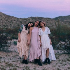 The Secret Destroyers