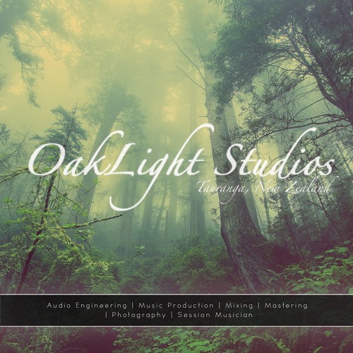 OakLight Studios’s avatar