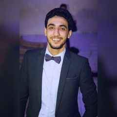 Baher Beh Elramy